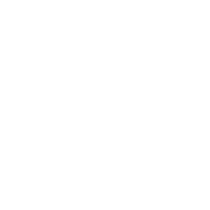 evvo